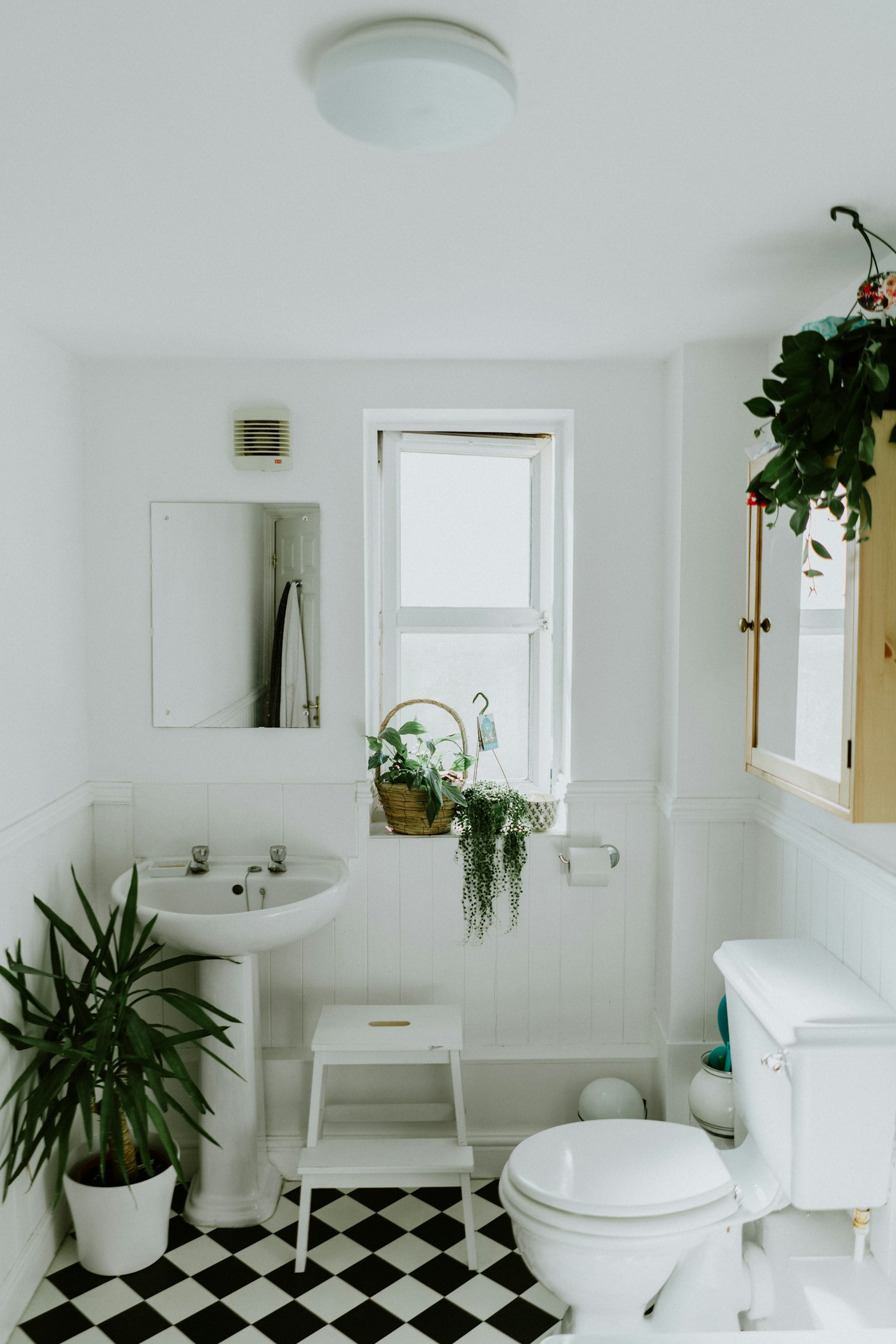 A bright, organized small bathroom with plants and open shelving